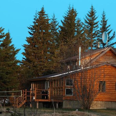 Bear Den Vacation Home 앵커 포인트 객실 사진